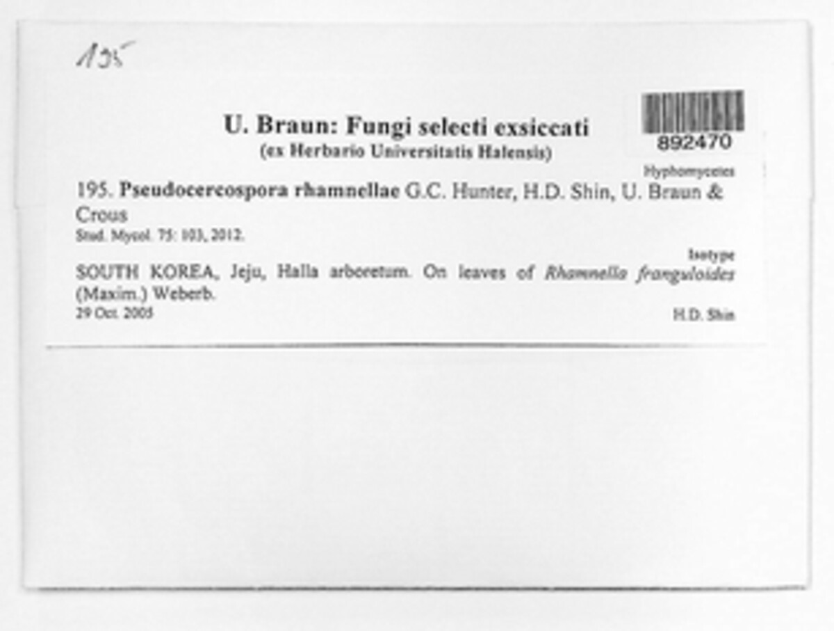 Pseudocercospora rhamnellae image